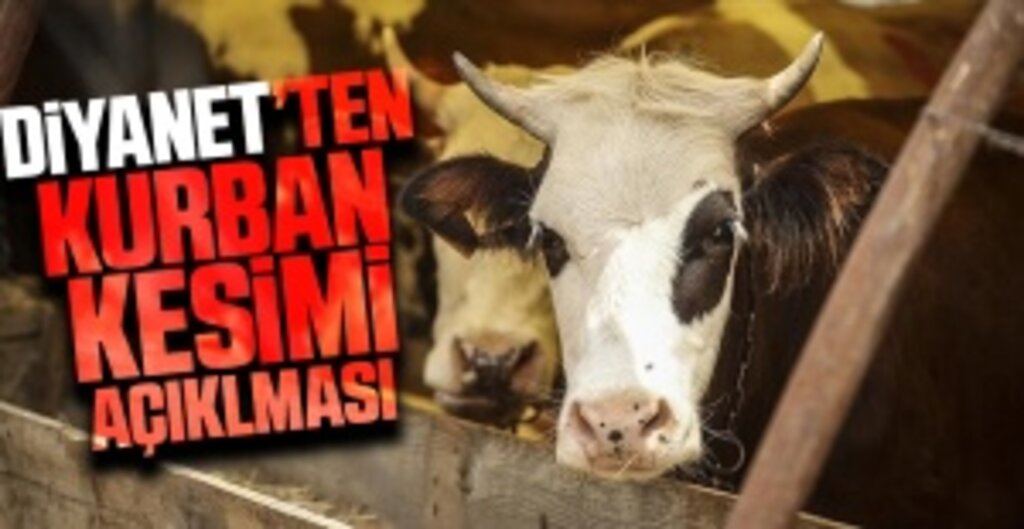 Kurban Hizmetlerine Yeni Düzenleme: Satış ve Kesim Yerleri Sıkı Denetim Altında Olacak, Kurallara Uymayana Ceza Yağacak
