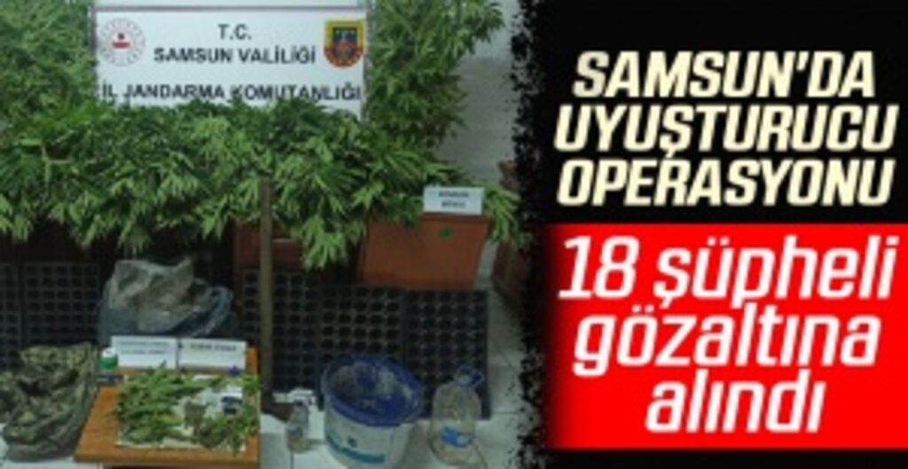 Samsun'da Jandarmadan Uyuşturucu ve Kaçakçılık Operasyonu: 18 Gözaltı
