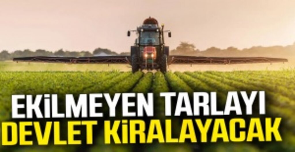 Boş Tarlaya Üretim Zorunluluğu Geliyor: Ekilmeyen Araziler Takip Edilecek