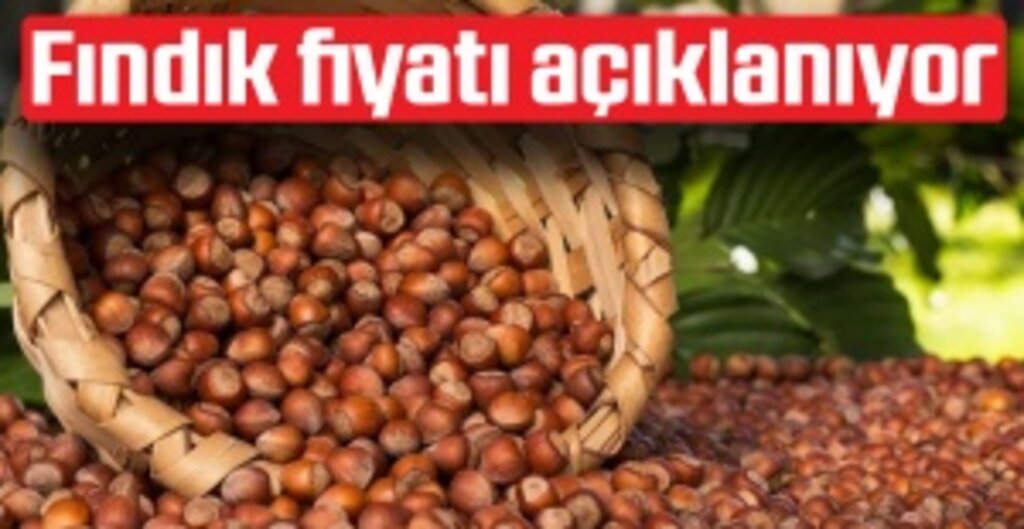 Cumhurbaşkanı Erdoğan, 30 Temmuz’da Ordu’da Fındık Fiyatlarını Açıklayacak