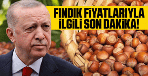 Cumhurbaşkanı Erdoğan Fındık Fiyatını Açıklamak Üzere Ordu’ya Gidiyor