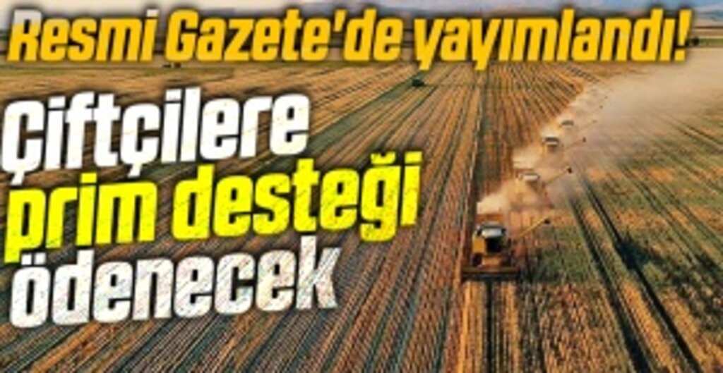 Çiftçiye Müjde: Buğday ve Arpa Üreticisine Kilogram Başına Prim Desteği
