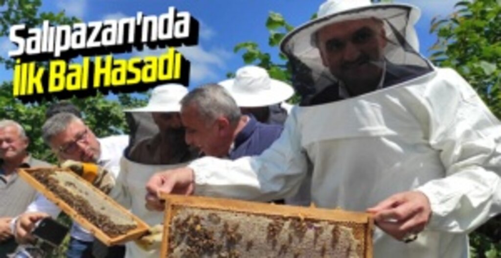 Samsun Salıpazarı’nda Sezonun İlk Kestane Balı Sağımı ve Festivali Gerçekleşti