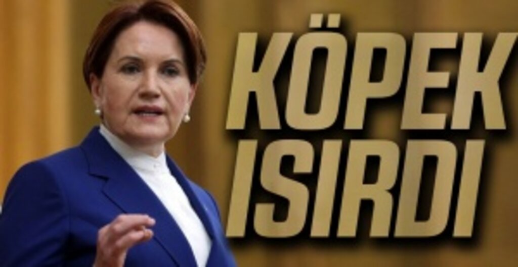 Meral Akşener’i Yalova’da Köpek Isırdı: Kuduz Aşısı Oldu, Programına Devam Etti