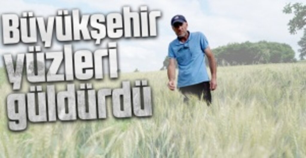 Samsun Büyükşehir Belediyesi’nden Buğday Üreticisine 3.5 Tonluk Tohum Desteği
