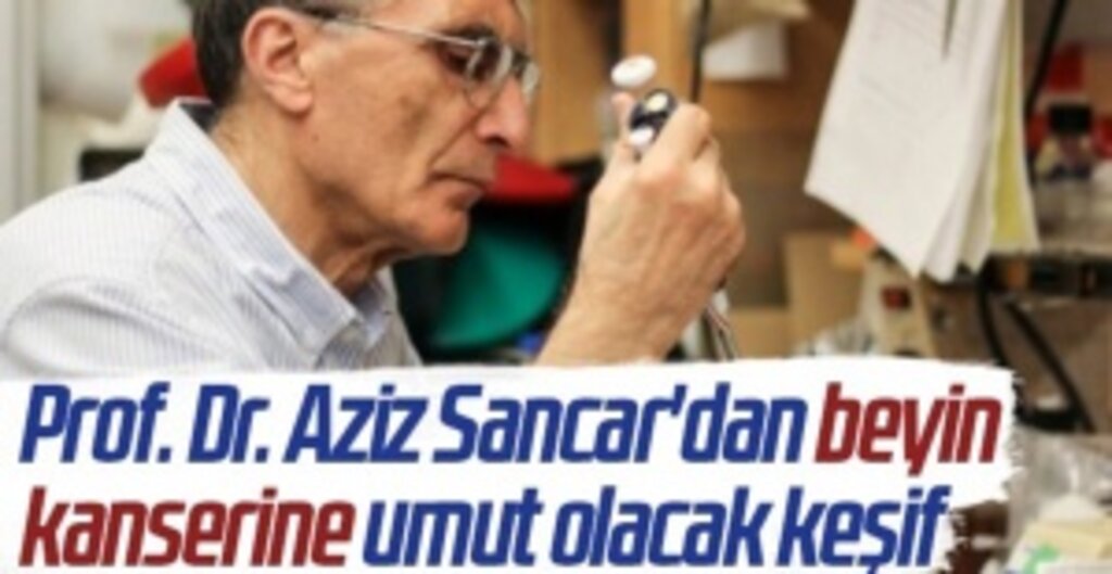 Aziz Sancar’dan Beyin Tümörü Tedavisinde Umut Olacak EdU Keşfi