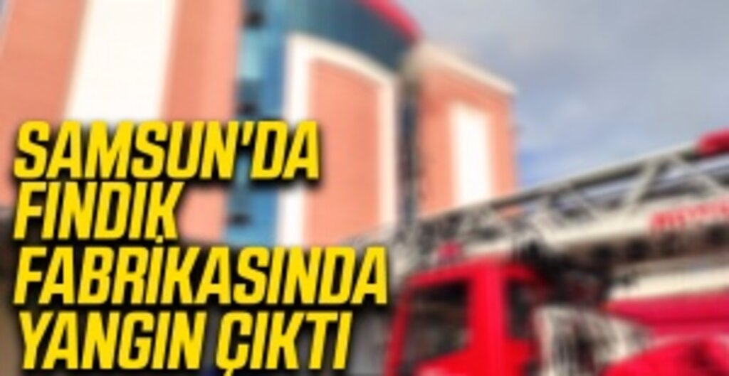 Samsun'un Salıpazarı İlçesinde Fındık Fabrikasında Yangın