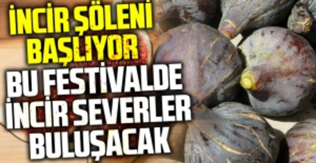 Bu Festivalde İncir Severler Buluşacak