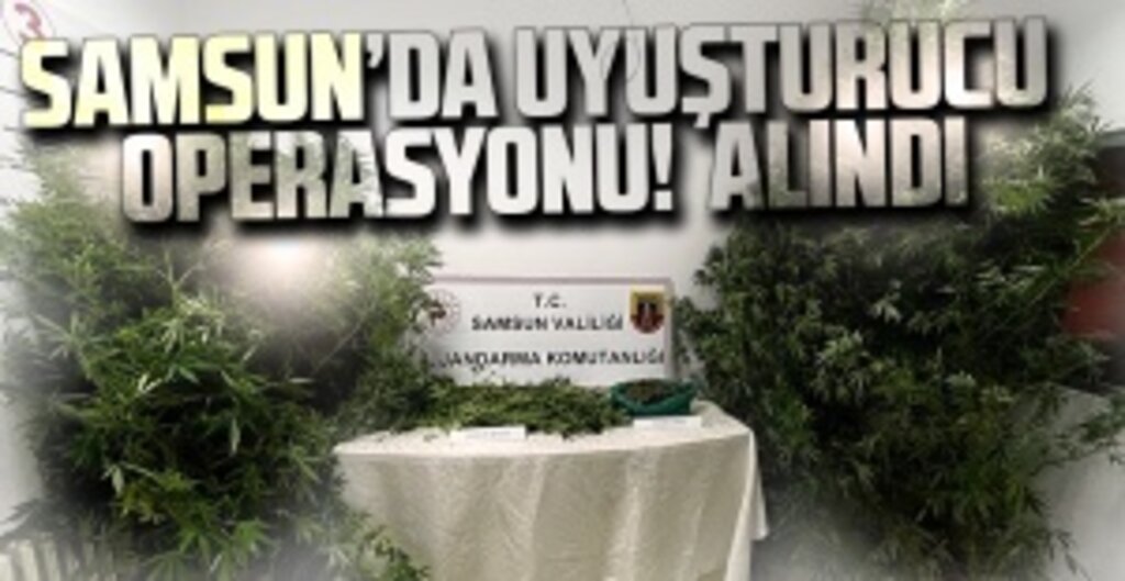 Salıpazarı’nda Uyuşturucu Operasyonu! 1 Kişi Gözaltına alındı