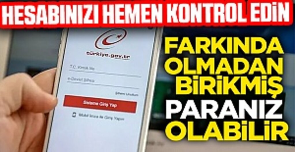 e-Devlet hesabınızı hemen kontrol edin! Birikmiş paranız olabilir