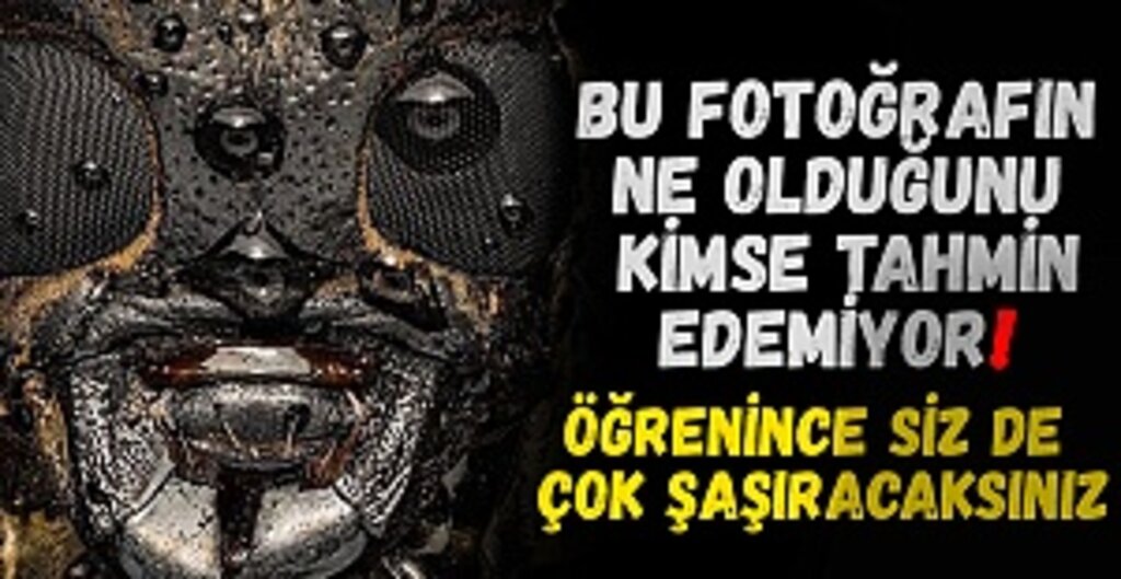 Sosyal Medyada Viral Olan Fotoğraf: Meğerse Teke Böceğinin Yakın Haliymiş!