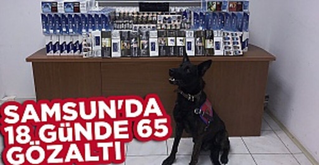 Samsun'da 18 günde 65 gözaltı