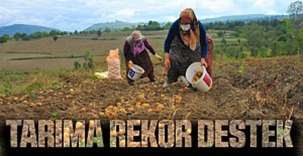 Tarıma rekor destek