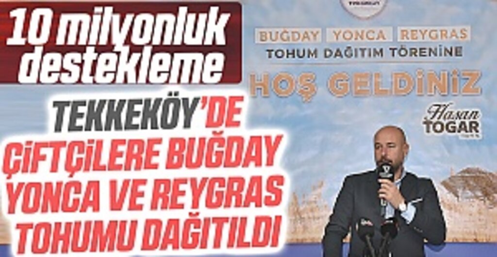 Tekkeköy’de çiftçilere buğday, yonca ve reygras tohumu dağıtıldı