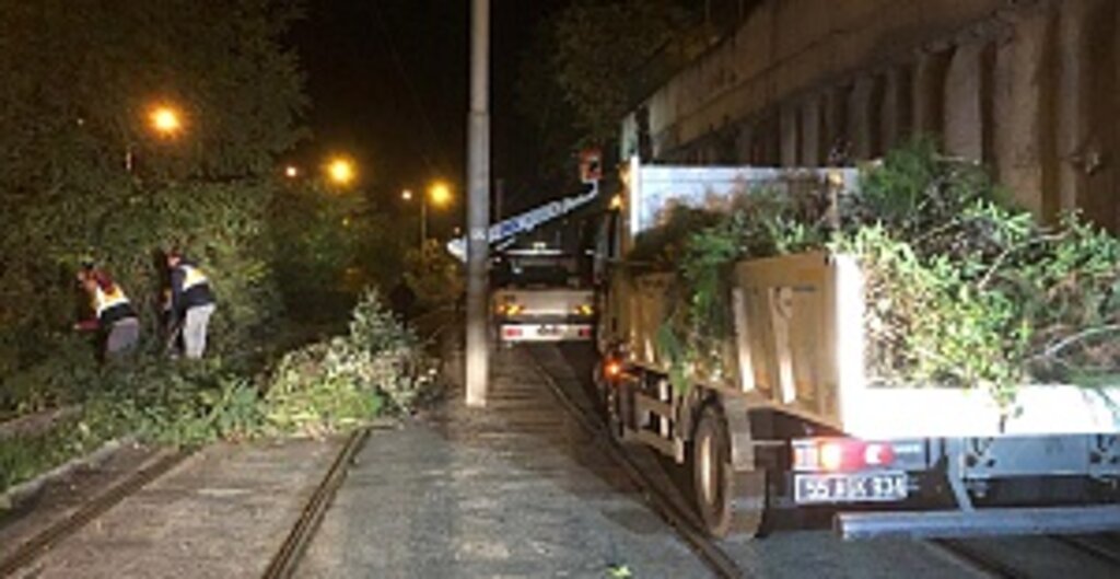 Tramvay güzergahında temizlik