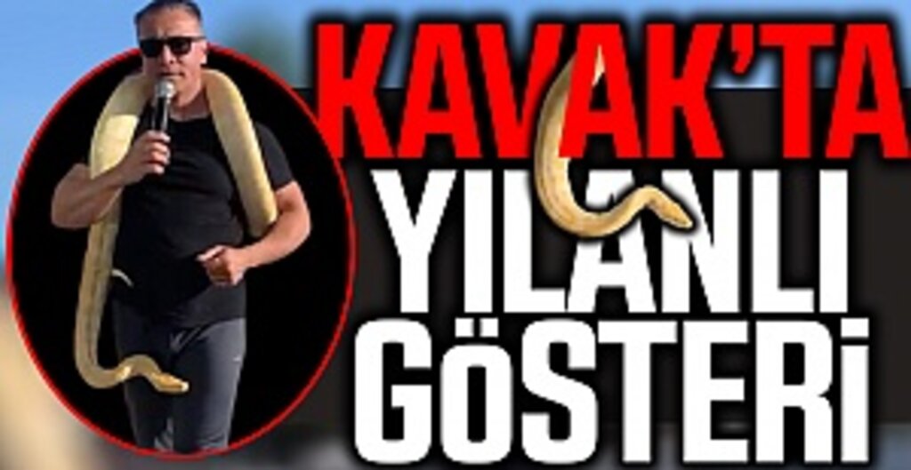 Kavak'ta Yılanlı Gösteri