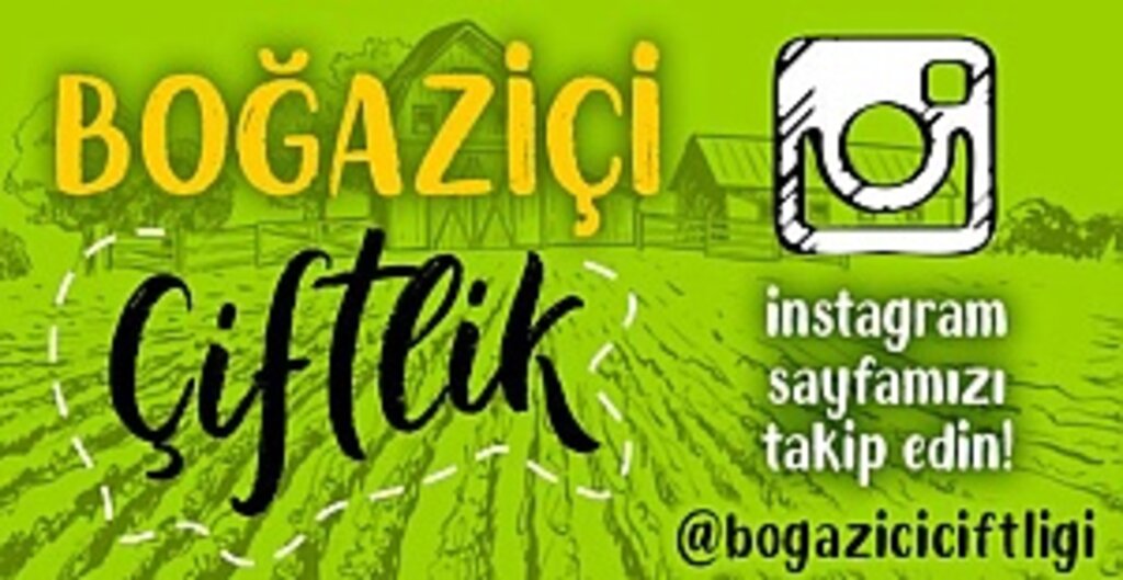 Köy Tavuğu ve Organik Besinler