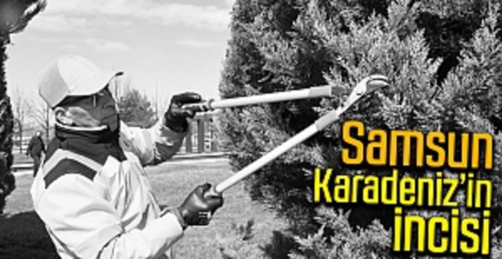 Samsun Karadeniz’in incisi