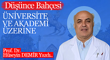 Üniversite ve Akademi Üzerine